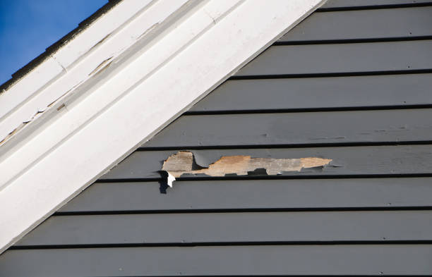 Best Custom Trim and Detailing for Siding  in Cumberland Hill, RI